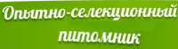 Саженцы яблони Грушовка московская (Грушовка, Скороспелка)